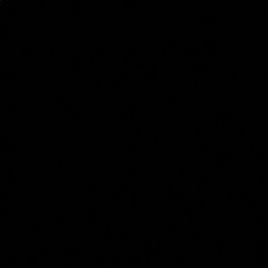 Meet your Posher, Elizabeth mareila